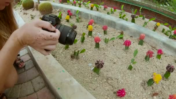 Familjen besöker de kaktusar, cactus zon i en botaniska Pennang, Malaysia — Stockvideo