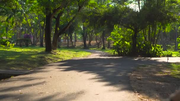 Standbild einer jungen Frau und ihres kleinen Sohnes auf einem Fahrrad und Laufrad in einem tropischen Park — Stockvideo