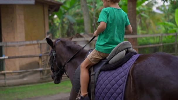 Slowmotion shot van een jongetje met een paardje les — Stockvideo