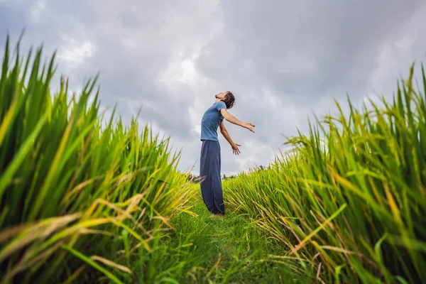 Pirinç tarlasında yoga yapan adam — Stok fotoğraf