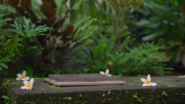 Fotografía en cámara lenta de una joven que usa una tabla Sadhu o una tabla de clavos en un entorno tropical — Vídeos de Stock