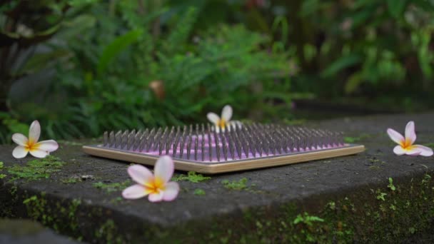 Fotografía en cámara lenta de un joven que usa una tabla Sadhu o una tabla de clavos en un entorno tropical — Vídeo de stock