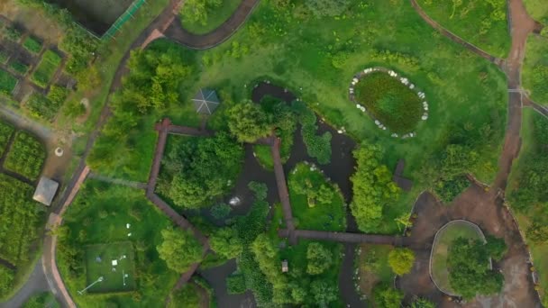 Aerial Shot av en vacker park med gröna gräsmattor och liten flod — Stockvideo