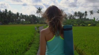 Yoga matematik güzel bir pirinç alanında yürürken genç bir kadının Slowmotion steadicam atış