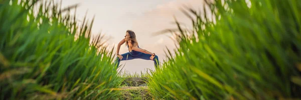 Młoda kobieta praktyka jogi na zewnątrz w polach ryżowych rano podczas rekolekcyjnego Wellness w Bali banner, Long format — Zdjęcie stockowe
