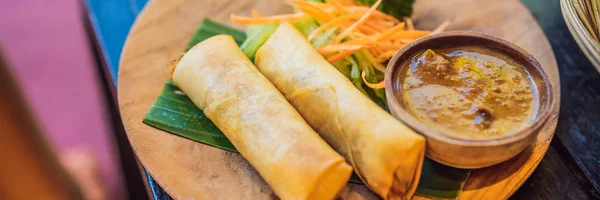 Roti gulung pegas goreng disajikan dengan salad dan saus. Hidangan tradisional Indonesia dan Asia BANNER, LONG FORMAT — Stok Foto