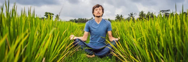 男子做瑜伽在稻田横幅，长格式 — 图库照片