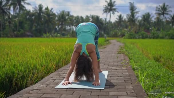 Tembakan lambat dari seorang wanita muda berlatih yoga di sawah yang indah — Stok Video
