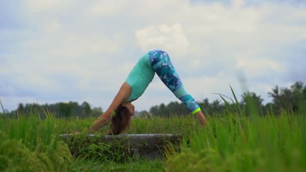 Zeitlupenaufnahme einer jungen Frau, die Yoga auf einem schönen Reisfeld praktiziert — Stockvideo