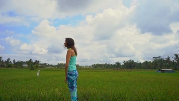 Fotografía en cámara lenta de una joven practicando yoga en un hermoso campo de arroz — Vídeo de stock