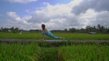 Güzel bir pirinç tarlasında yoga yapan genç bir kadının slowmotion steadicam çekim