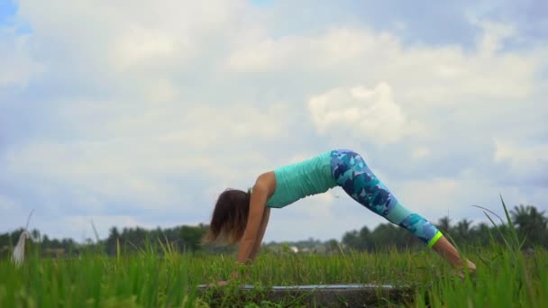 Slowmotion tiro de uma jovem mulher praticando ioga em um belo campo de arroz — Vídeo de Stock