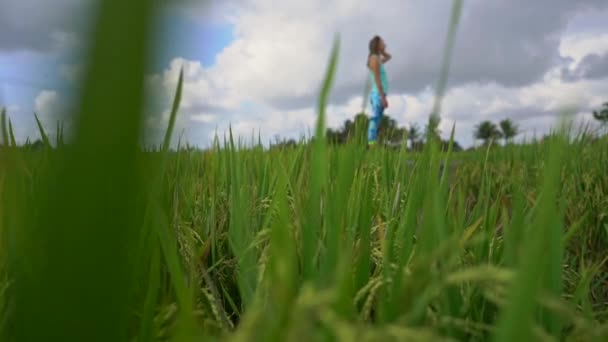 Slowmotion steadicam tiro de uma jovem mulher com ioga matemática andando através de um belo campo de arroz — Vídeo de Stock