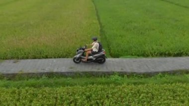 Motosikletle pirinç tarlasında gezen bir adamın havadan çekilmiş fotoğrafı