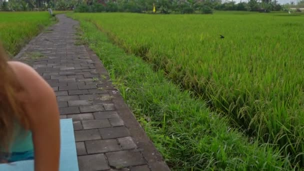 Slowmotion steadicam shot d'une jeune femme pratiquant le yoga sur un beau champ de riz — Video