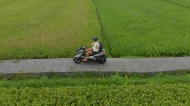 Luftaufnahme eines Mannes, der auf einem Motorrad durch ein Reisfeld fährt — Stockvideo