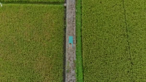 Aerial slowmotion shot van een jonge vrouw die yoga beoefenen op een prachtig rijstveld — Stockvideo