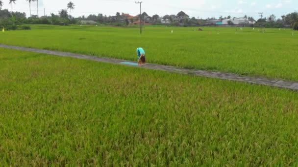 Letecká Zpomalovná střela mladé ženy, která cvičila jóga na krásné rýžové poli — Stock video