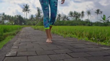 Yoga matematik güzel bir pirinç alanında yürürken genç bir kadının Slowmotion steadicam atış