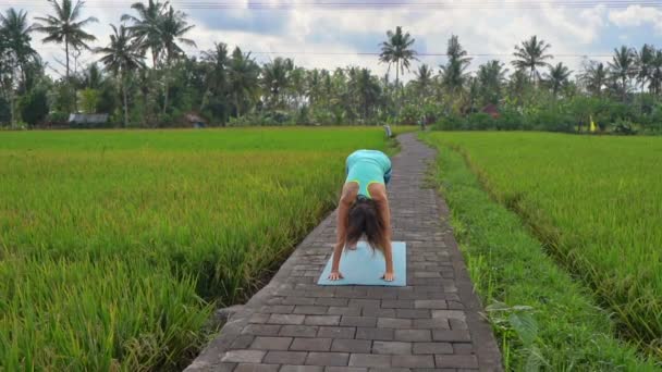 Смугастий постріл уповільнення молодої жінки, що практикує йогу на красивому рисовому полі — стокове відео