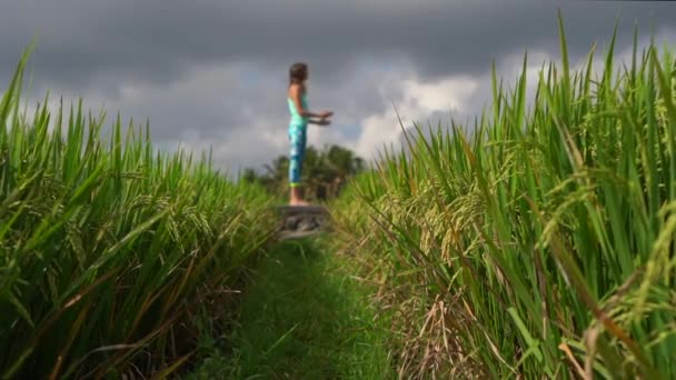 Slowmotion steadicam toma de una joven practicando yoga en un hermoso campo de arroz — Vídeos de Stock