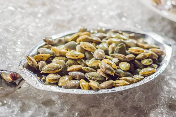 Fruits de mer frais et savoureux servis sur glace concassée, gros plan — Photo