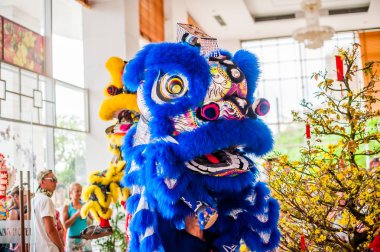 Ay yeni yıl Asya ejderha önümüzdeki Vietnam yeni yıl