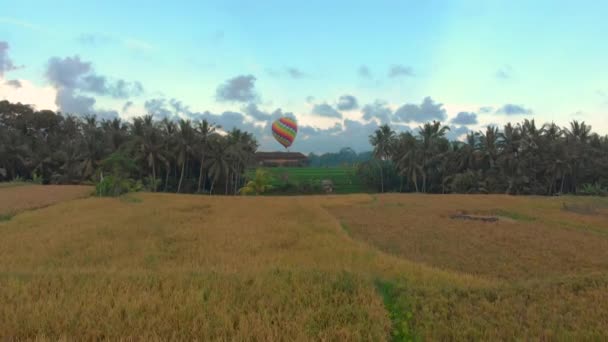 Flygfoto av en varmluftsballong som flyger över det stora gröna risfältet. Resa till Bali-konceptet. — Stockvideo