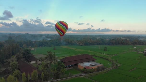 Aerial shot of a hot air balloon that is flying over the big green rice field. Travell to Bali concept. — Stock Video