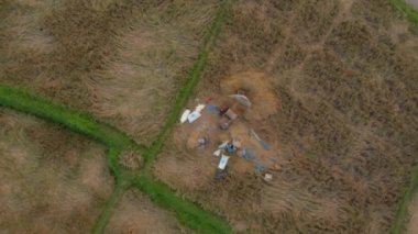 Pirinç tanelerini saplarından ayıran çiftçilerin hava görüntüleri. Pirinç harman. Bali konseptine Seyahat