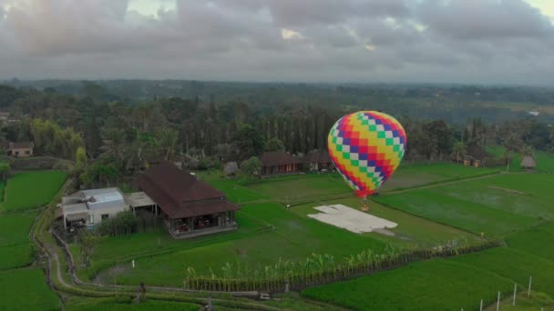 Büyük yeşil pirinç tarlasının üzerinde uçan sıcak hava balonunun hava görüntüsü. Bali 'ye Seyahat kavramı. — Stok video