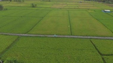 Bali usulü Muladhara çakrası için meditasyon yapan genç bir kadının hava fotoğrafı.