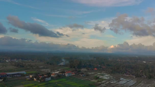 Belle prise de vue aérienne des rizières entourant le village d'Ubud qui sont remplies d'eau avant la plantation de riz. Vue aérienne sur le volcan Agung — Video