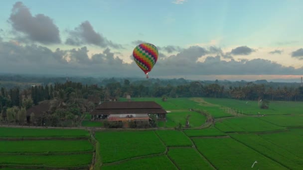 Büyük yeşil pirinç tarlasının üzerinde uçan sıcak hava balonunun hava görüntüsü. Bali 'ye Seyahat kavramı. — Stok video