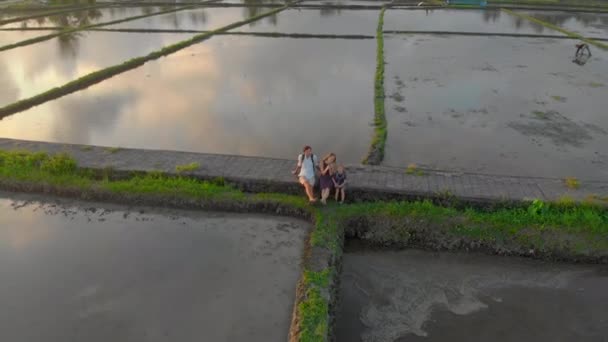 Повітряний постріл щасливої сім "ї, яка сидить на дорозі через велике поле, наповнене водою. Вони насолоджуються часом заходу сонця і хмарами, що відбиваються у воді. Подорож до концепції Балі. Астероїд. — стокове відео