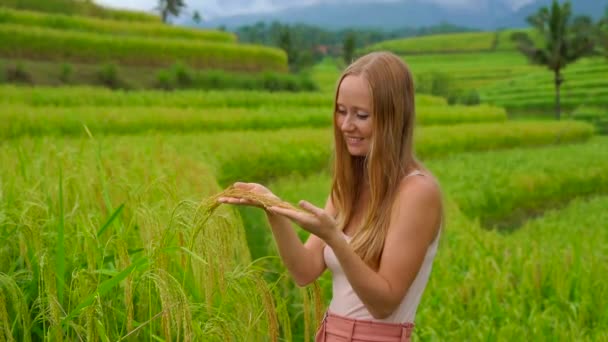 Bali Adası 'ndaki Jatiluwih Pirinç Teraslarını ziyaret eden genç bir kadın. — Stok video