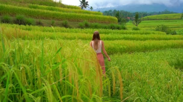 Młoda kobieta odwiedzająca tarasy ryżowe Jatiluwih na wyspie Bali — Wideo stockowe