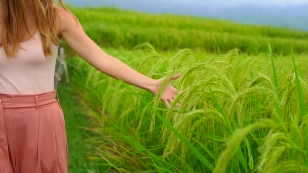 Mladá žena navštíví rýžové terasy Jatiluwih na ostrově Bali — Stock video