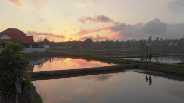 Vue aérienne d'une femme et de son fils marchant sur une passerelle à travers le grand champ rempli d'eau. Ils apprécient le coucher du soleil et les nuages qui se reflètent dans l'eau. Voyage à Bali concept — Video