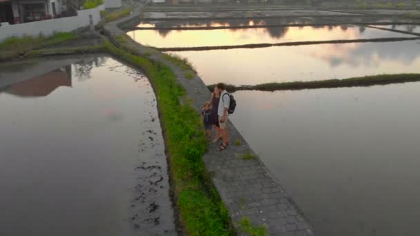 Повітряний постріл щасливої сім "ї, яка стоїть на дорозі через велике поле, наповнене водою. Вони насолоджуються часом заходу сонця і хмарами, що відбиваються у воді. Подорож на Балі — стокове відео
