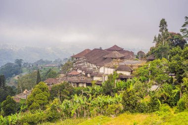 Bedugul 'da terk edilmiş ve gizemli bir otel. Endonezya, Bali Adası