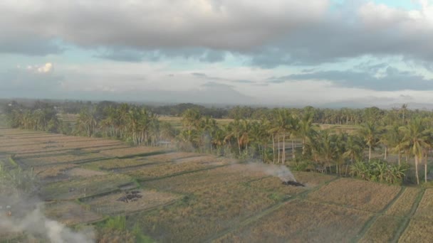 Lindo tiro aéreo dos campos de arroz em torno da aldeia de Ubud com o Agung mountai em um distante. Vista aérea sobre o vulcão Agung — Vídeo de Stock