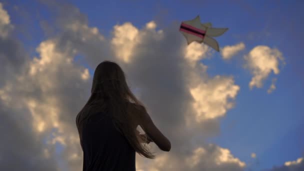 Zeitlupenaufnahme einer jungen Frau an einem tropischen Strand mit einem Drachen während des Sonnenuntergangs — Stockvideo