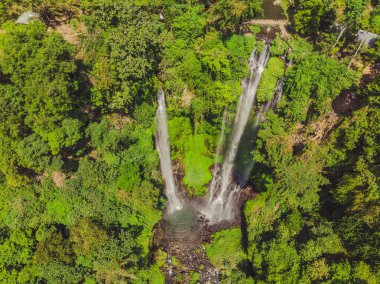 Endonezya, Bali 'deki güzel tropikal Sekumpul Şelalesi
