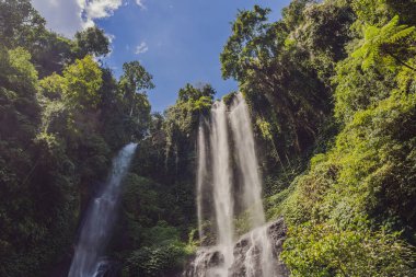 Endonezya, Bali 'deki güzel tropikal Sekumpul Şelalesi