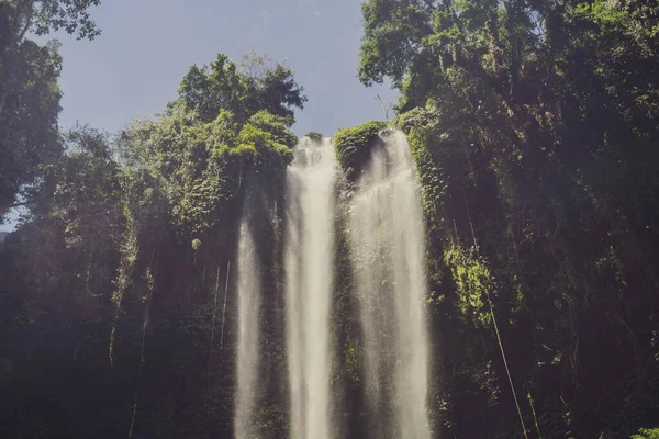 Wunderschöner tropischer sekumpul wasserfall in bali, indonesien — Stockfoto