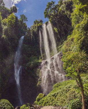 Endonezya, Bali 'deki güzel tropikal Sekumpul Şelalesi