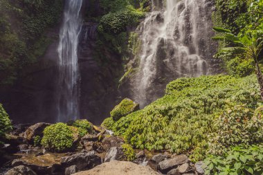 Endonezya, Bali 'deki güzel tropikal Sekumpul Şelalesi