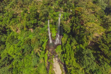Endonezya, Bali 'deki güzel tropikal Sekumpul Şelalesi