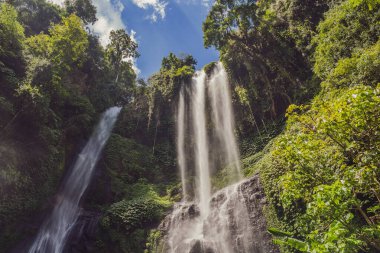 Endonezya, Bali 'deki güzel tropikal Sekumpul Şelalesi